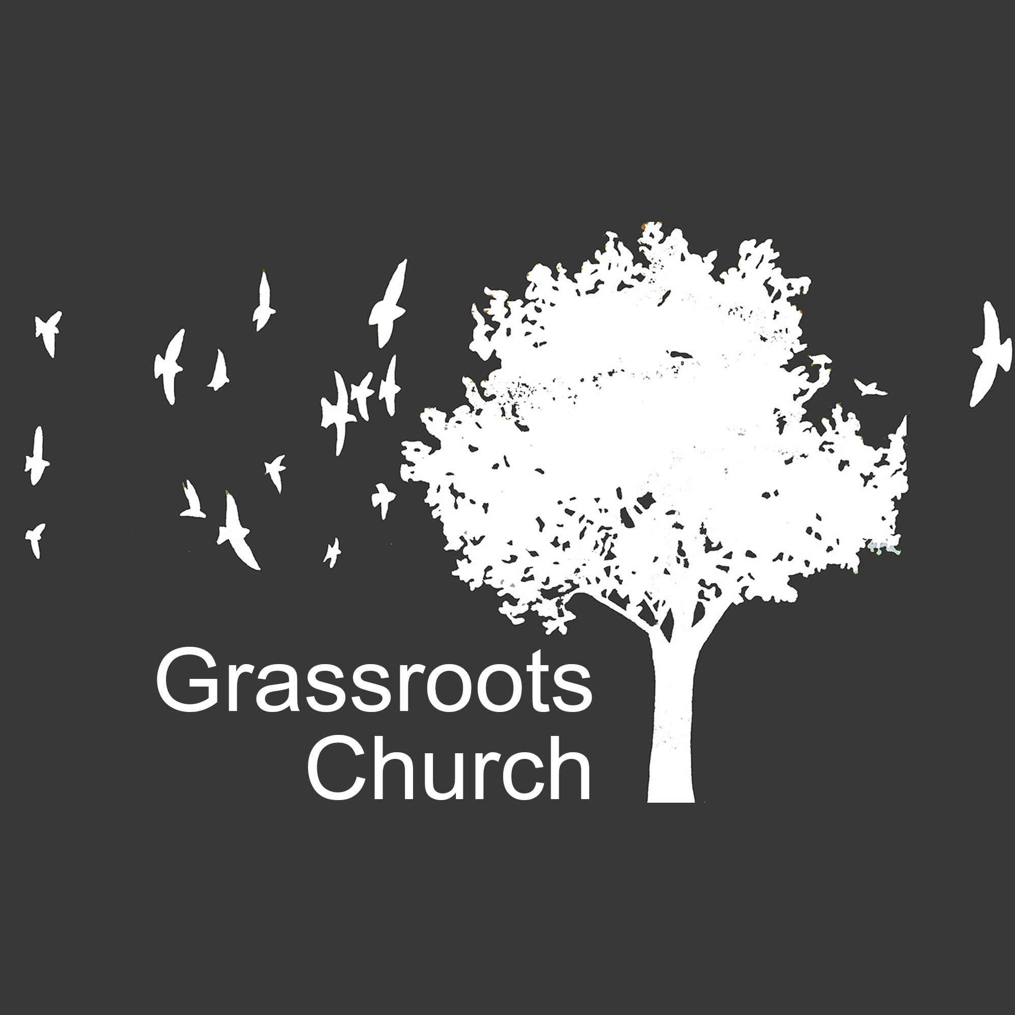 Grassroots Church | Thunder Bay, Ontario