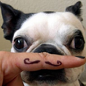 User Podcast Logo