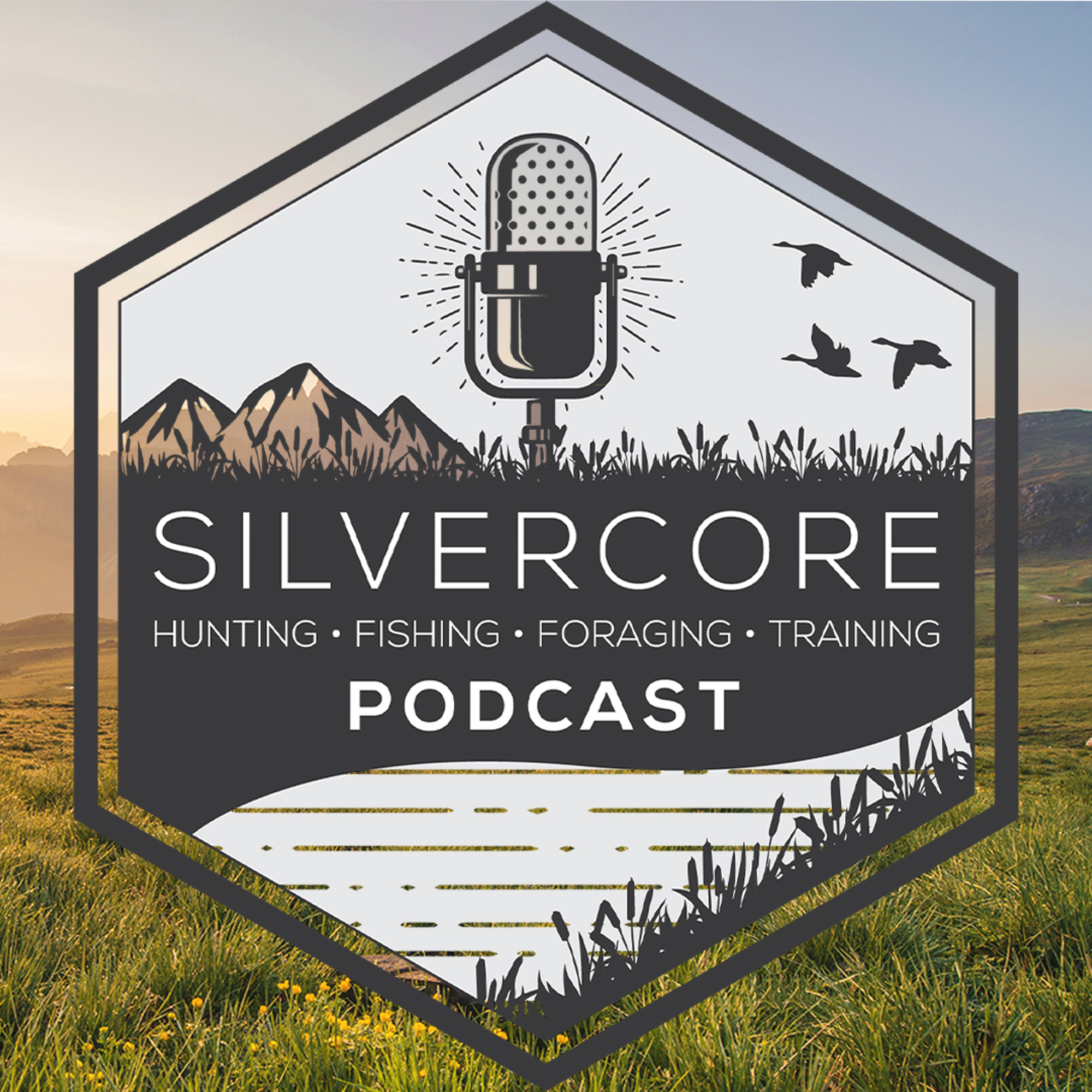 The Silvercore Podcast podcast show image