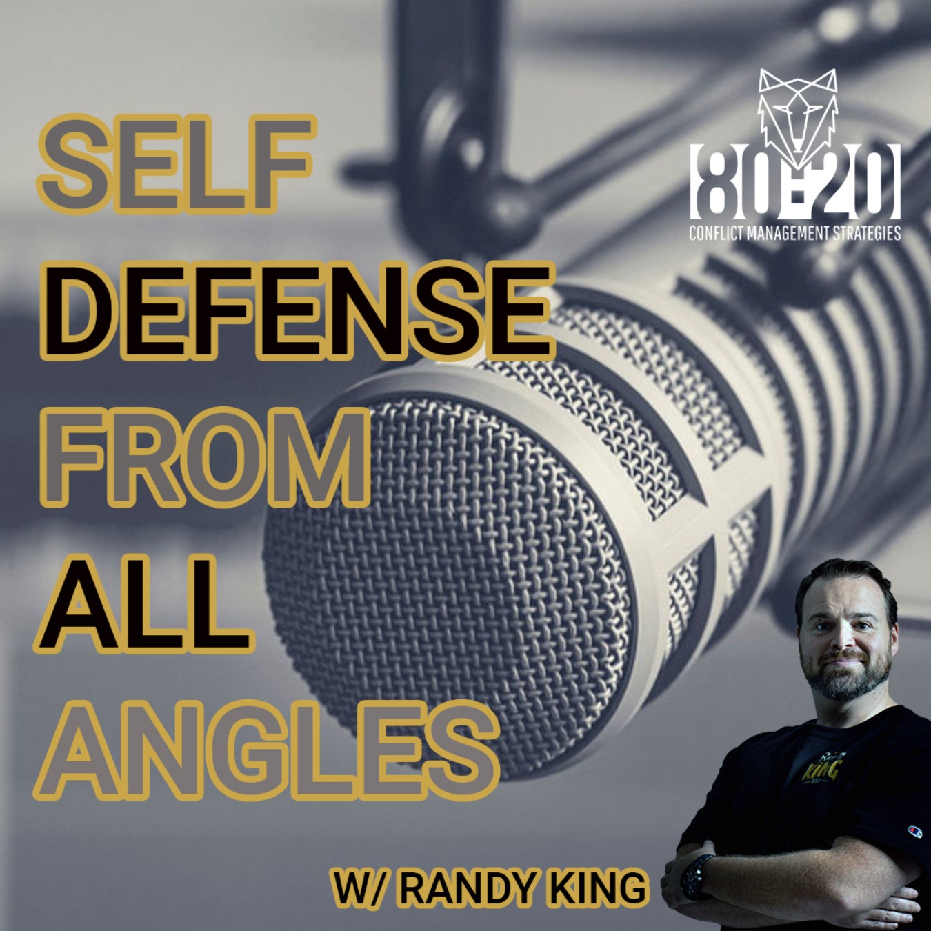 Self Defense From All Angles Podcast
