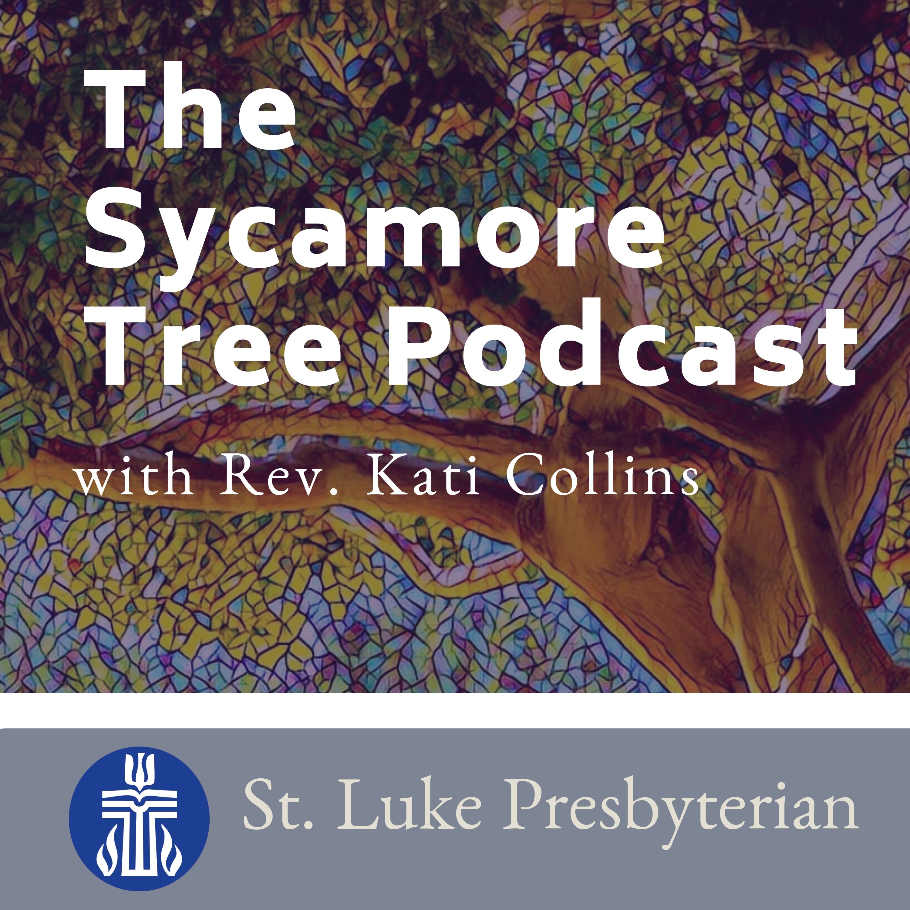 The Sycamore Tree