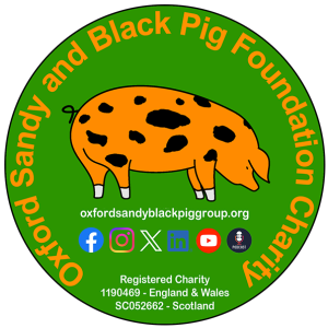 Oxford Sandy Black Pig Group Podcast