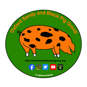 Oxford Sandy Black Pig Group Podcast