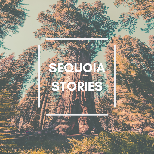 sequoiastories