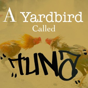 A Yardbird Called Tuna