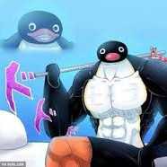 PingNoot