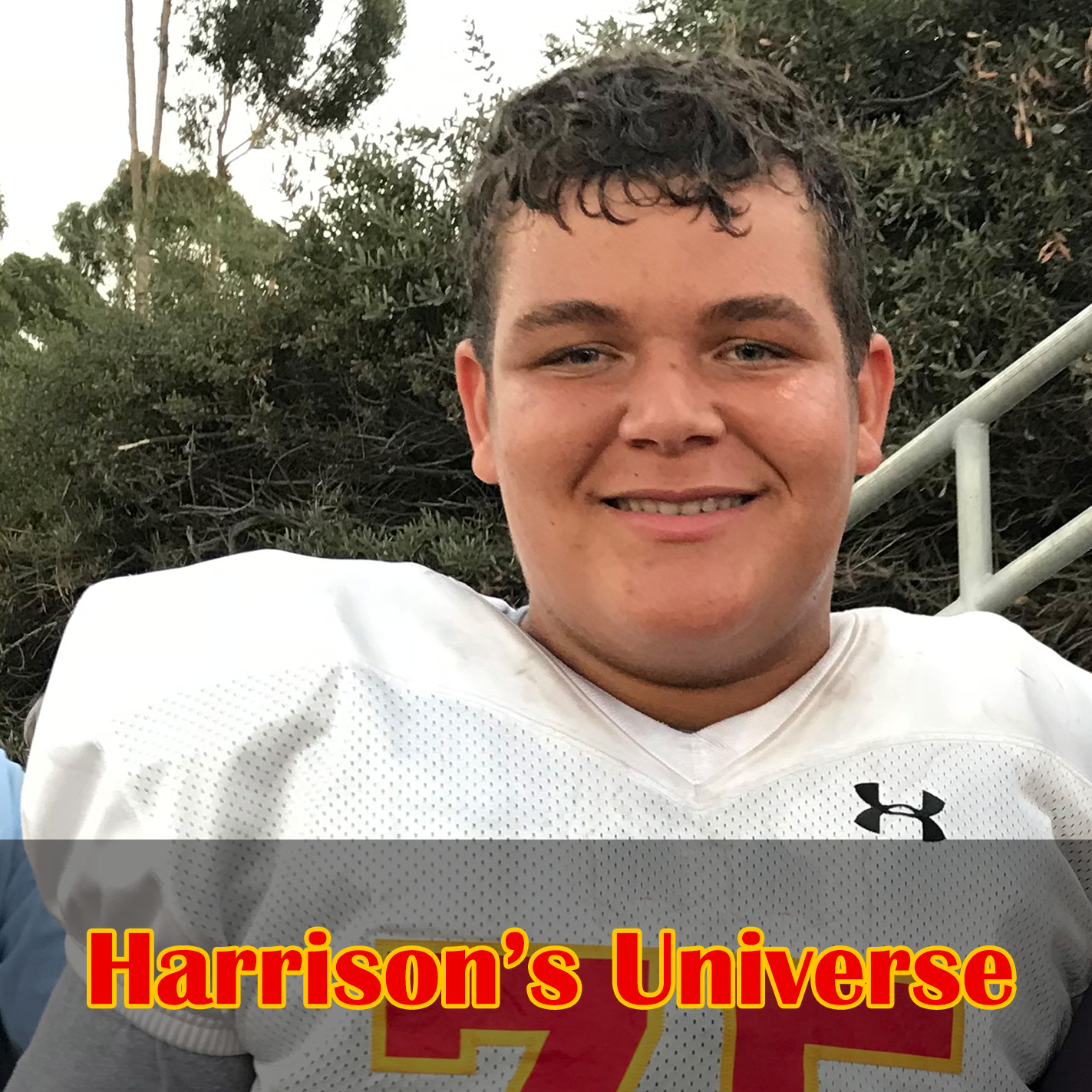 Harrison's Universe