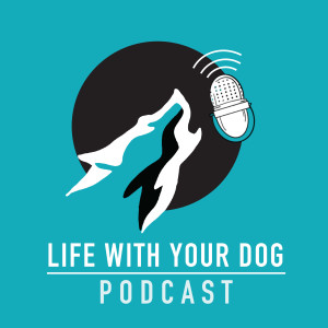 Ep188 - Why your dog should ”need” to rest