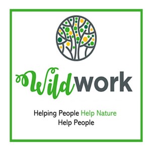 The Wild Work Podcast