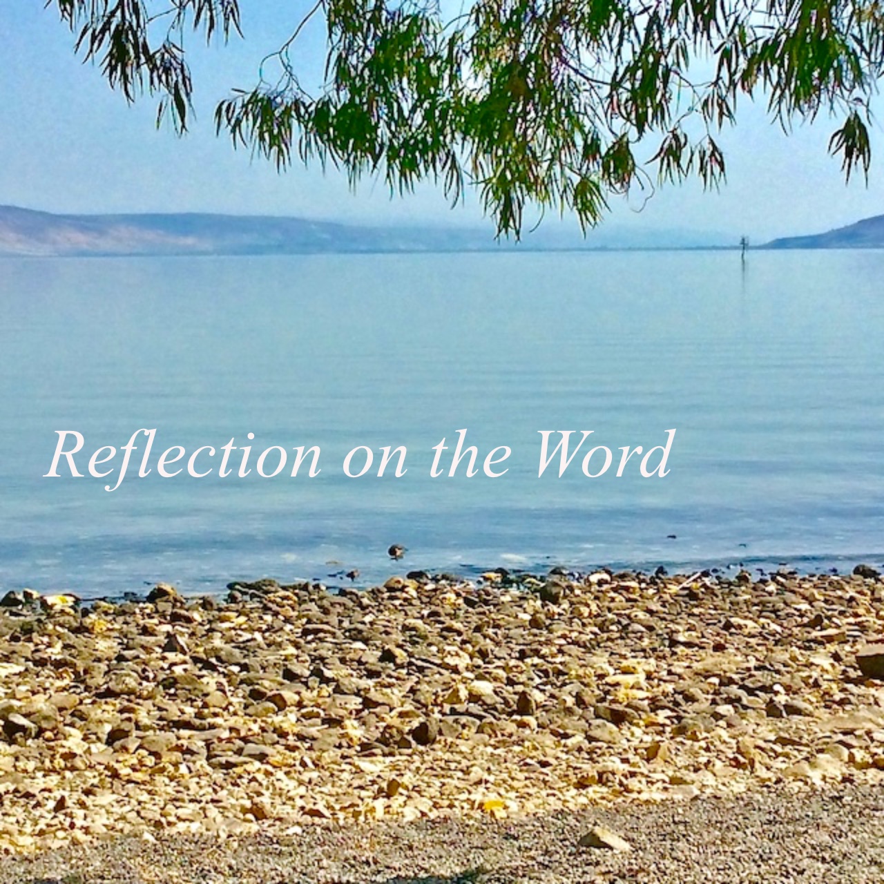 Reflection on the Word