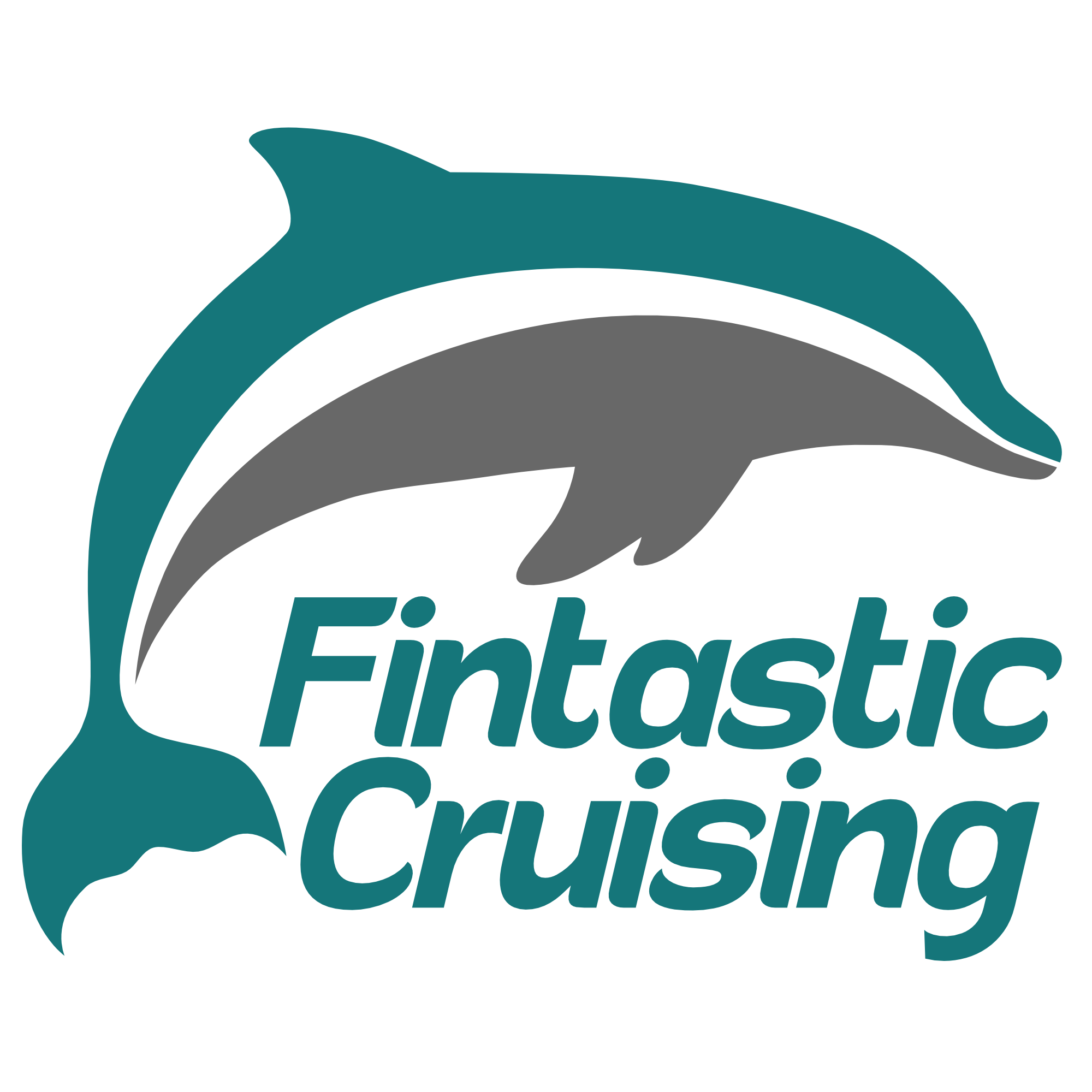 Fintastic Cruising