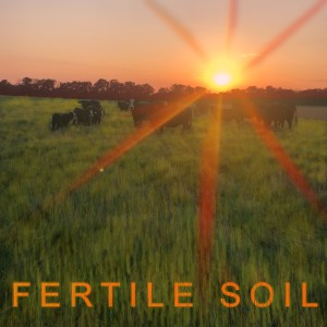 Ukraine’s Black Market and Fertile Soil