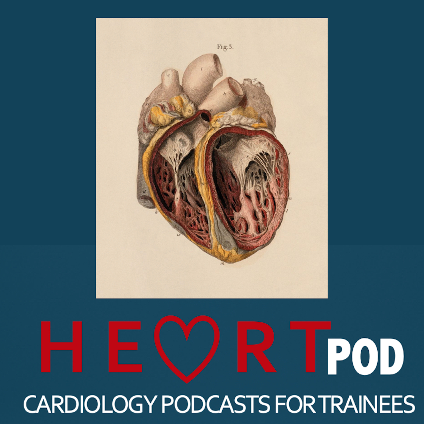 HeartPOD - Cardiology Podcasts for Trainees