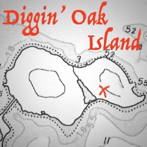The Oak Island Association 