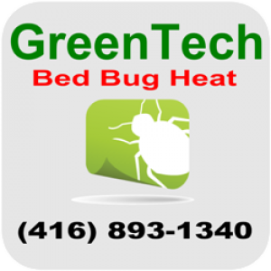 Bed bug extermination Toronto - Why accreditation is so important!
