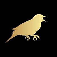 Self-Publishing for Beginners