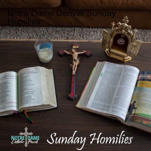 Notre Dame Denver Sunday Homilies