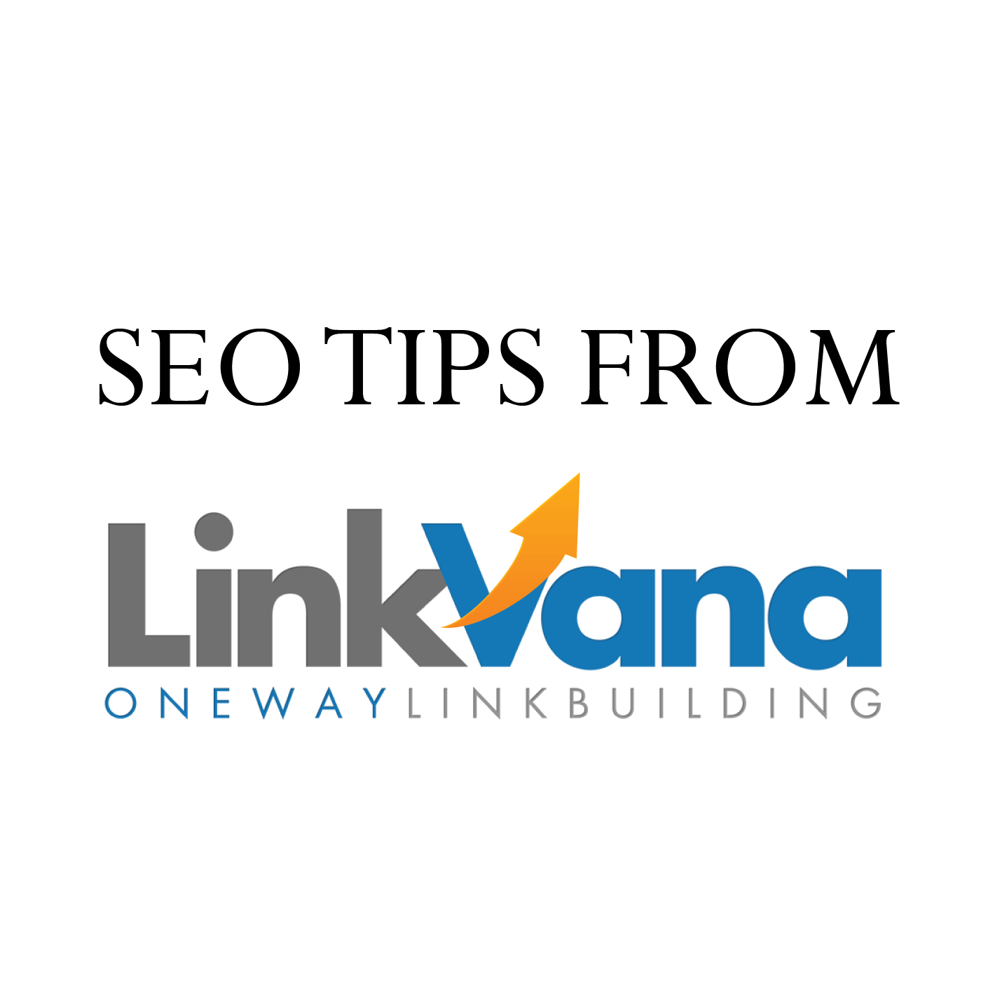bestseotips