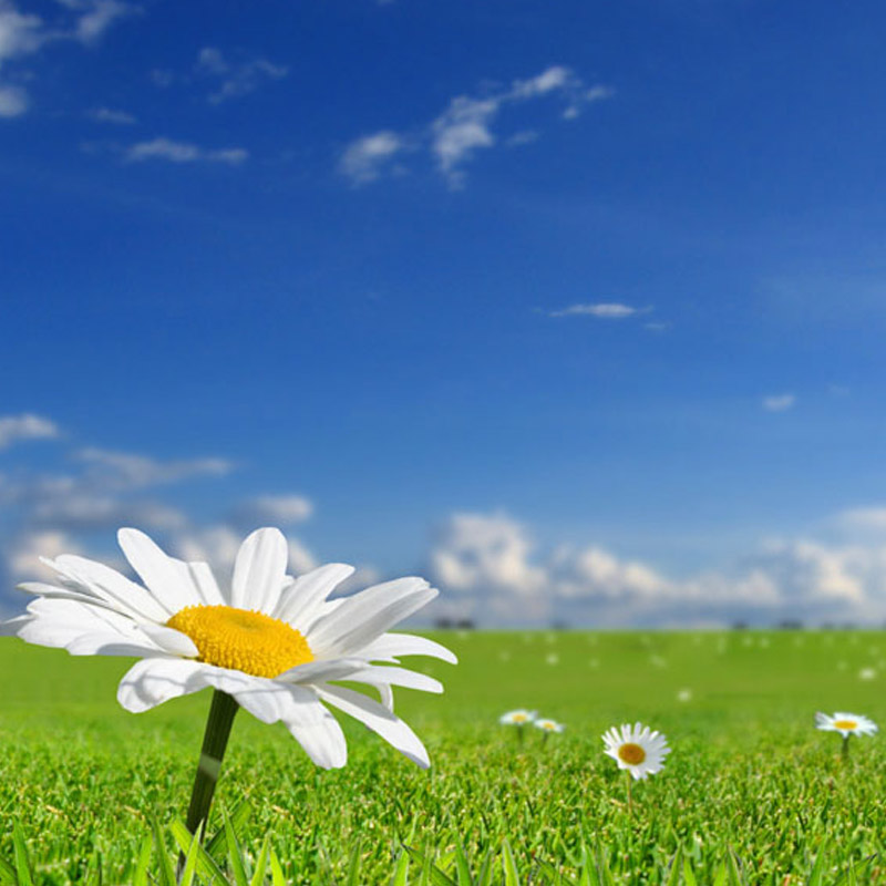 radioahmadiyyatanzania