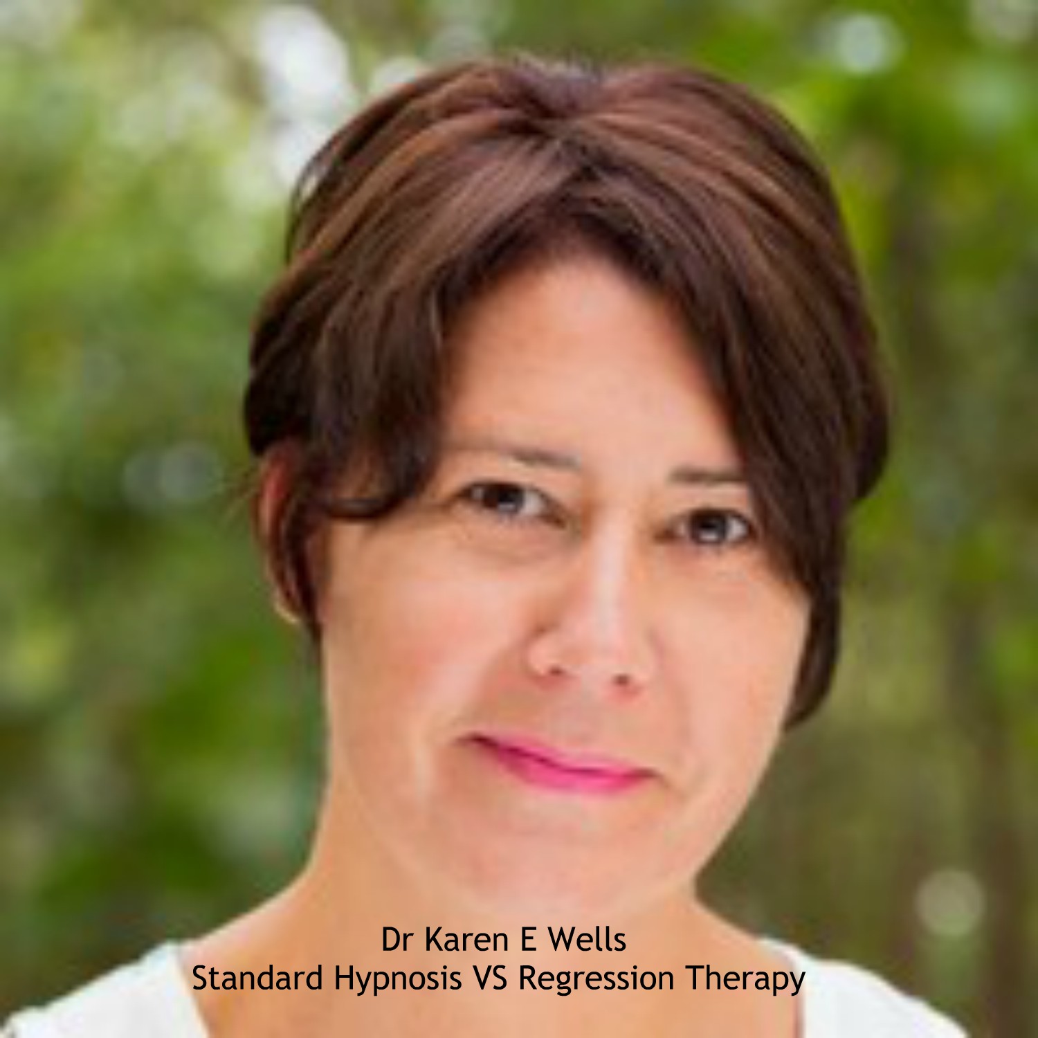 Karen E Wells