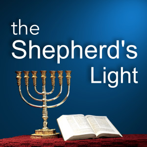 John 10 Part 2 "The Good Shepherd"