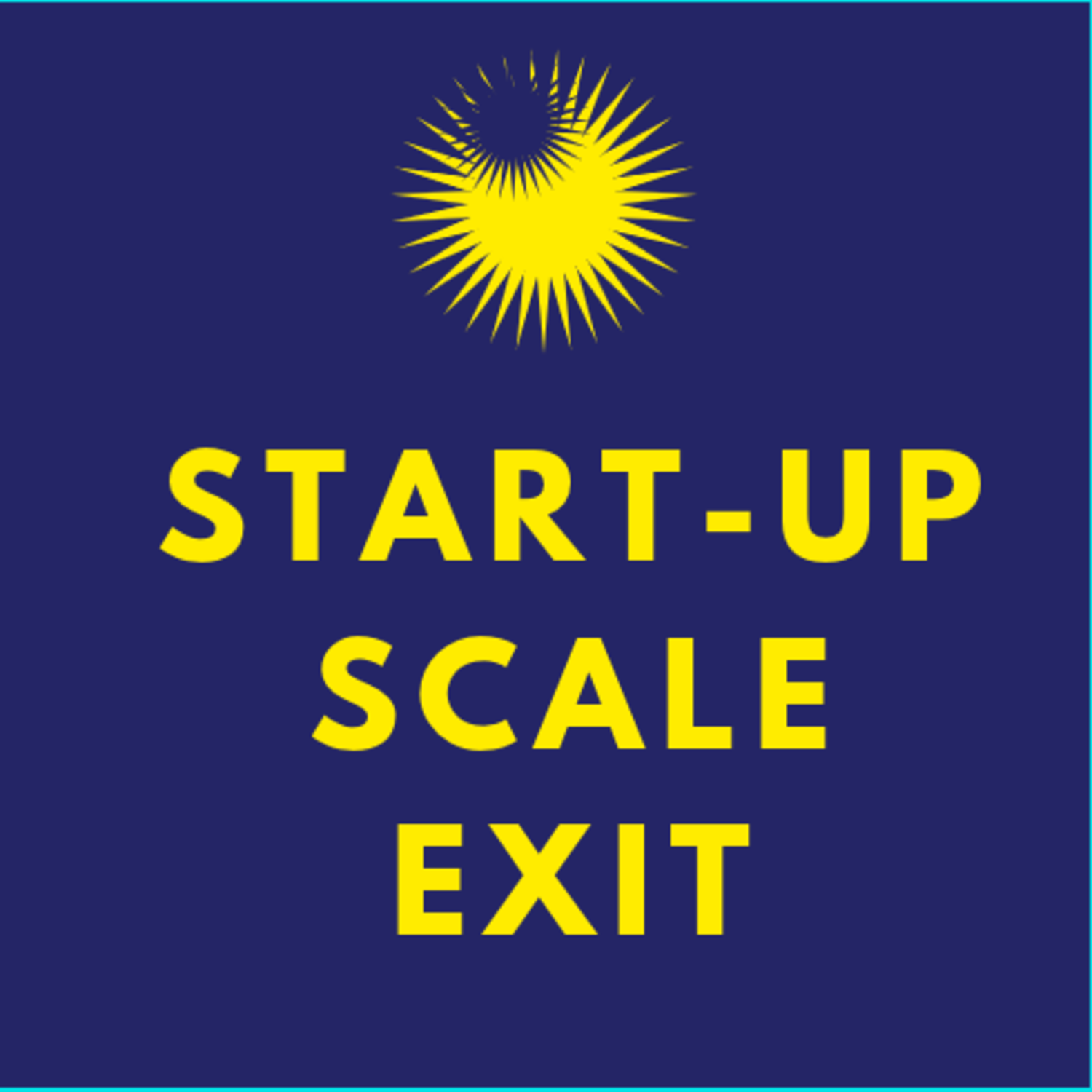 Startup Scale Exit