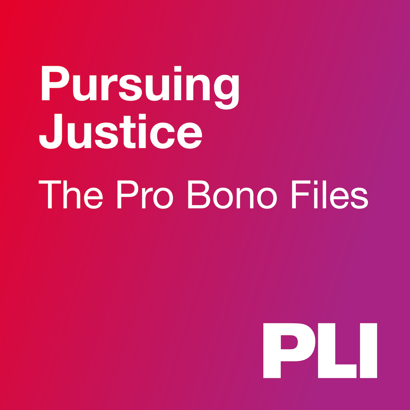 Pursuing Justice: The Pro Bono Files