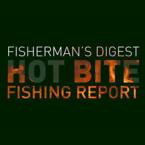 Hot Bite Fishing Report