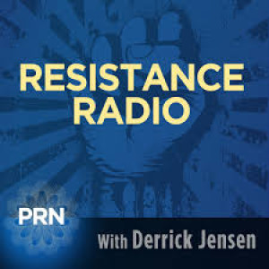 Resistance Radio - Guest: Four Arrows