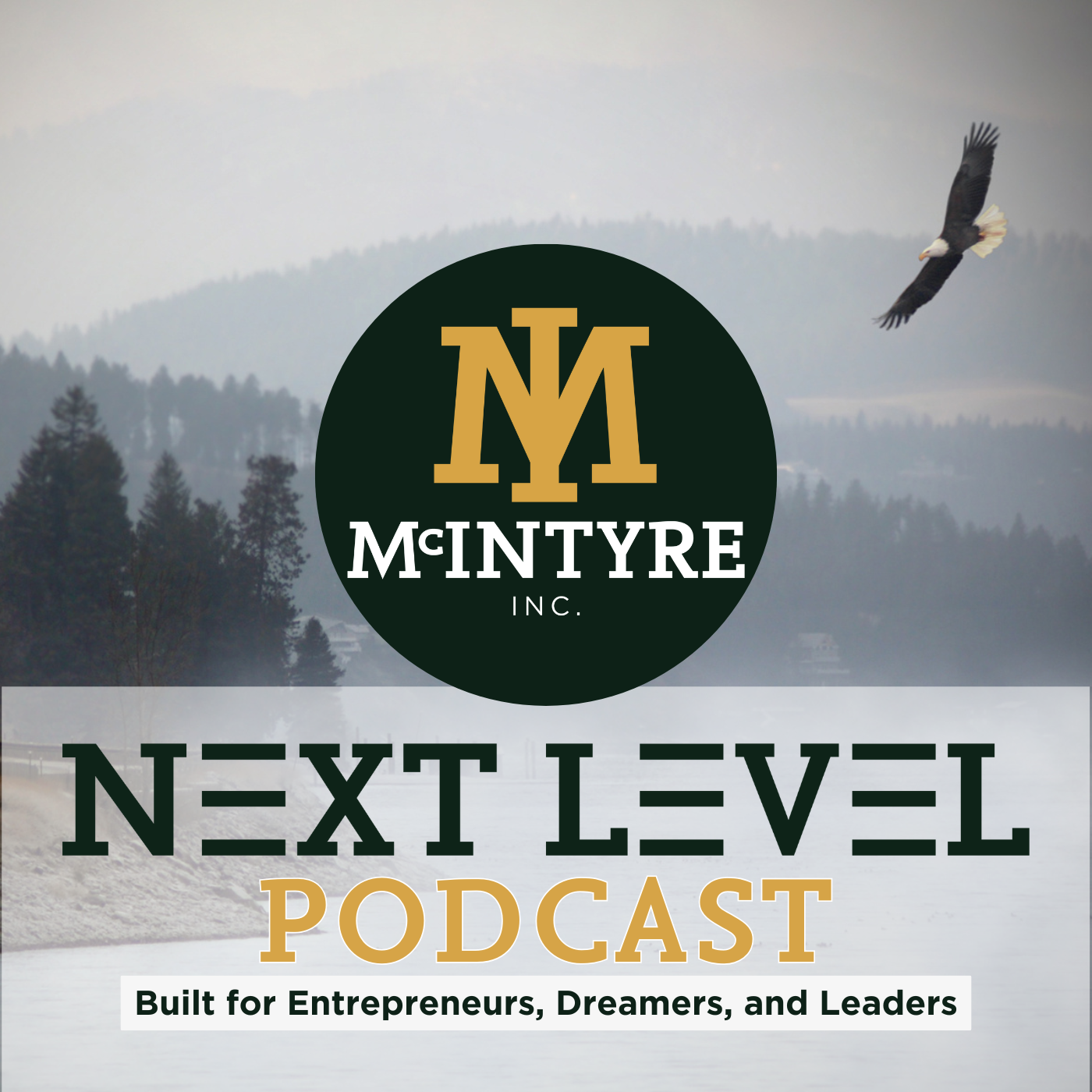 Next Level Podcast with Michael McIntyre