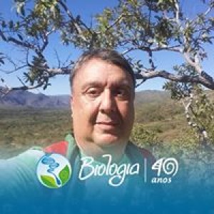 Arborização: Áreas Naturais