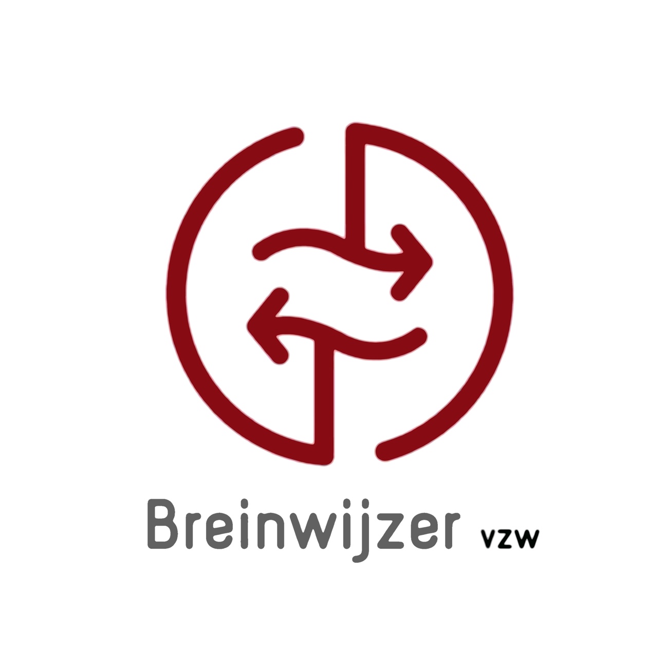breinwijzer