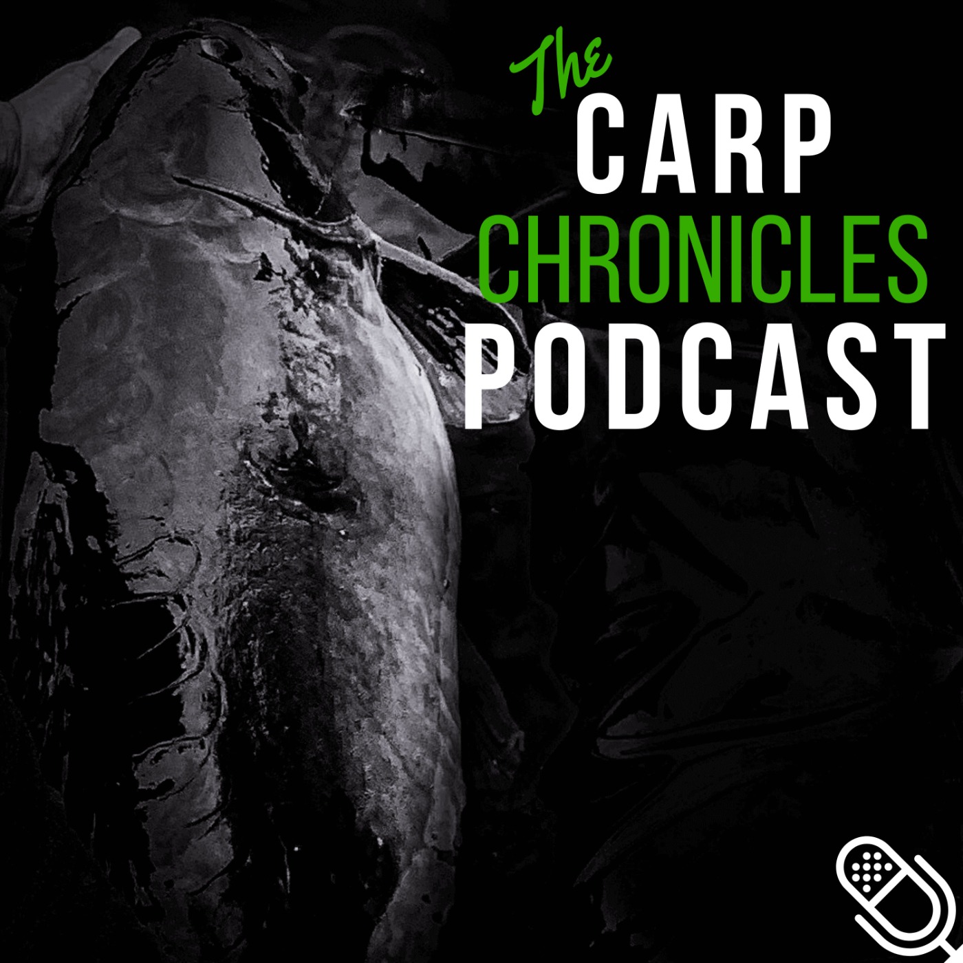 Carp Chronicles Podcast