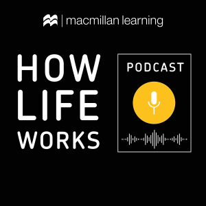 The How Life Works Podcast