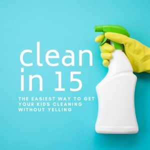 Clean In 15