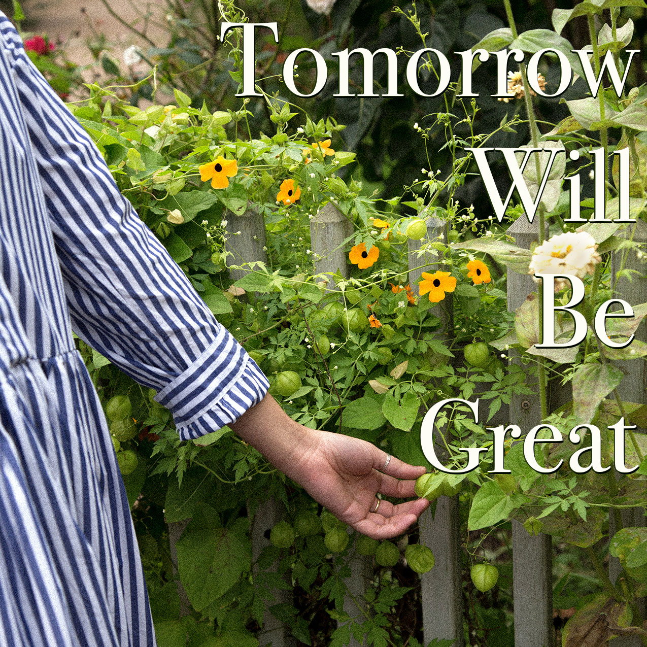 Tomorrow Will Be Great