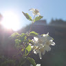 kakphotos13