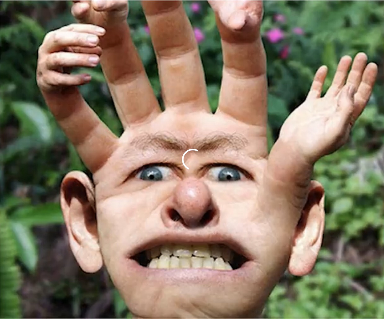 Weird boi