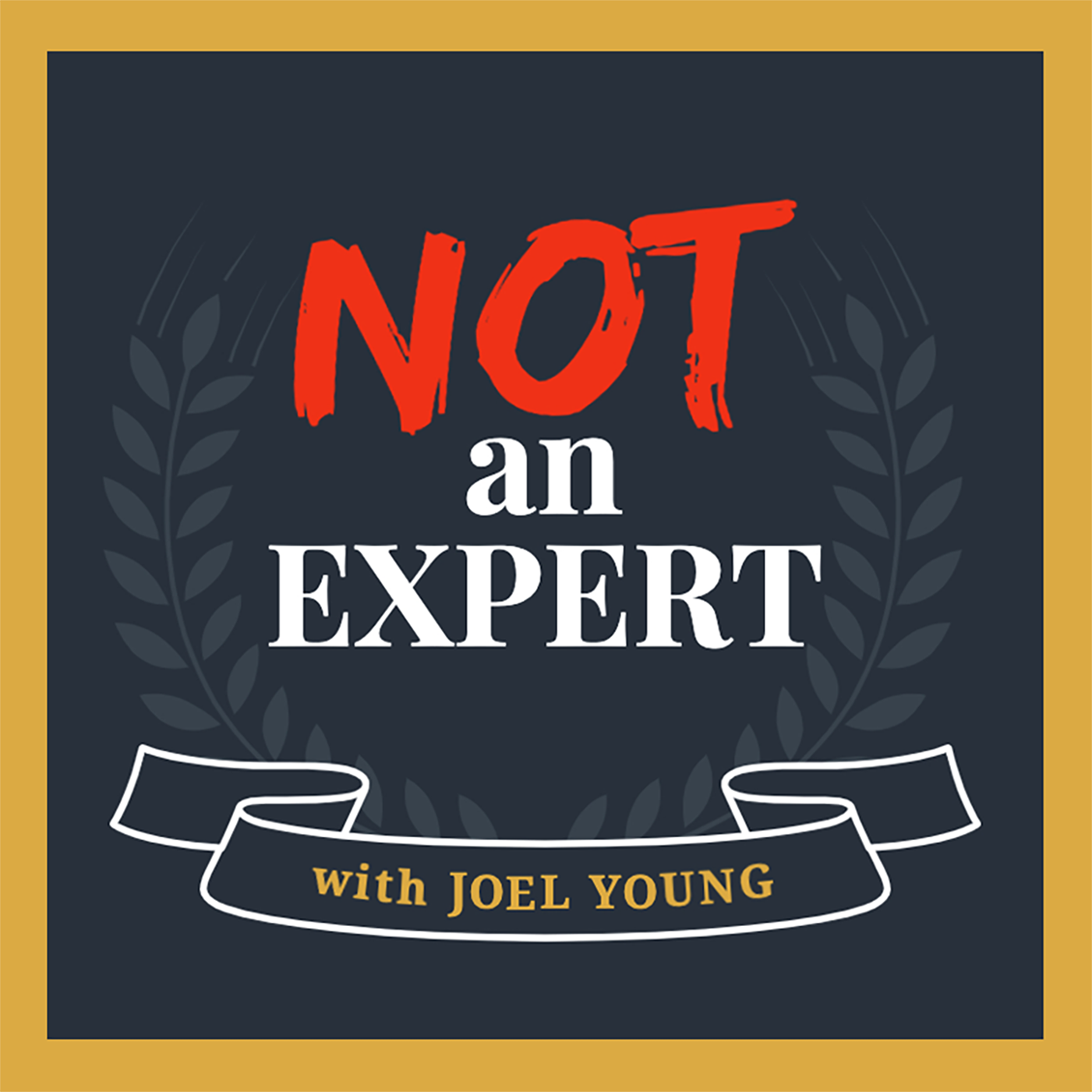 Not An Expert with Joel Young