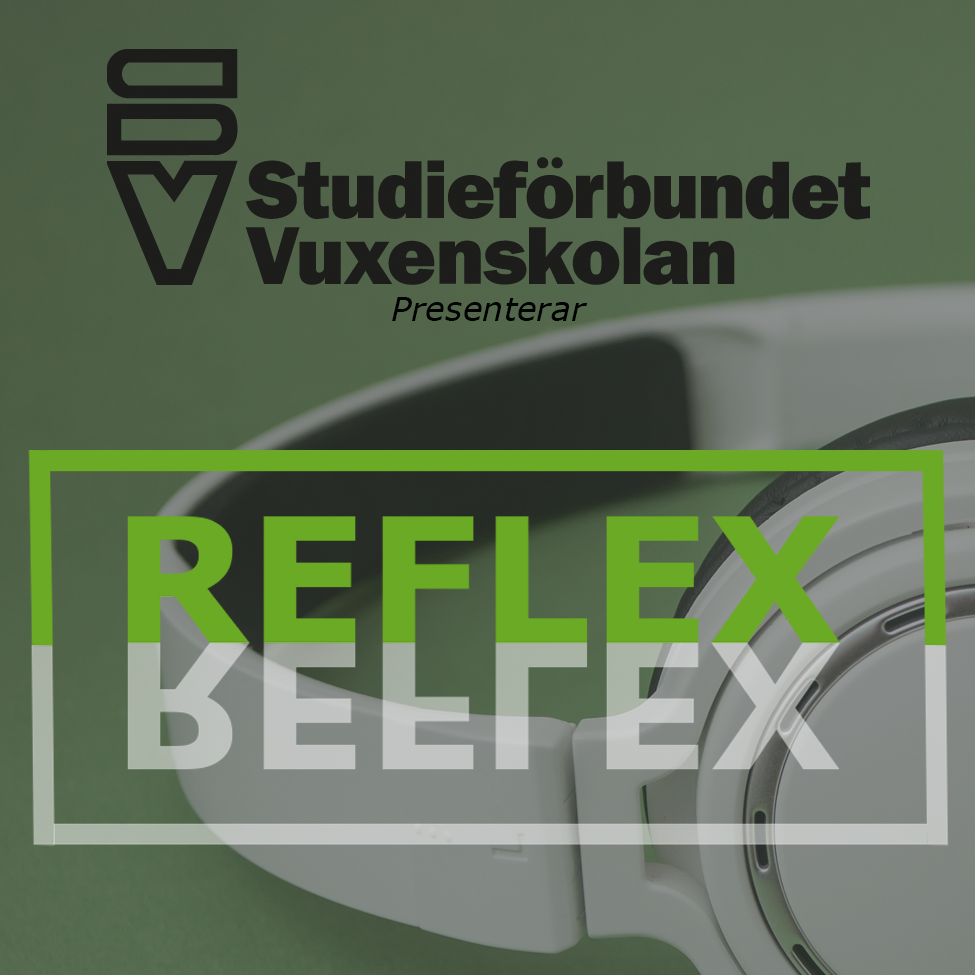 Reflex SV Blekinge