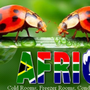 Africhill Manufactures and Supplies first-class Refrigeration Room