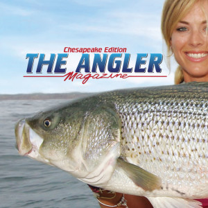 Maryland Fishing Line - Production of Chesapeake Angler Magazine