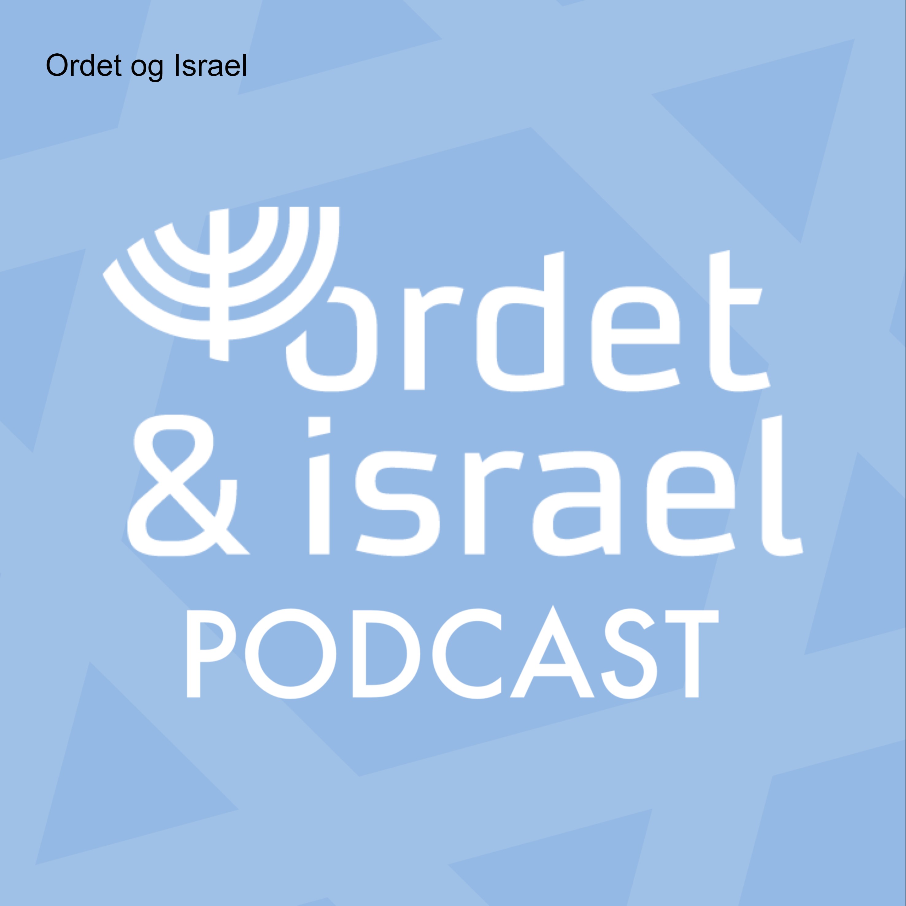 Fokus på Israel: Tragedie, terror og forhandlinger