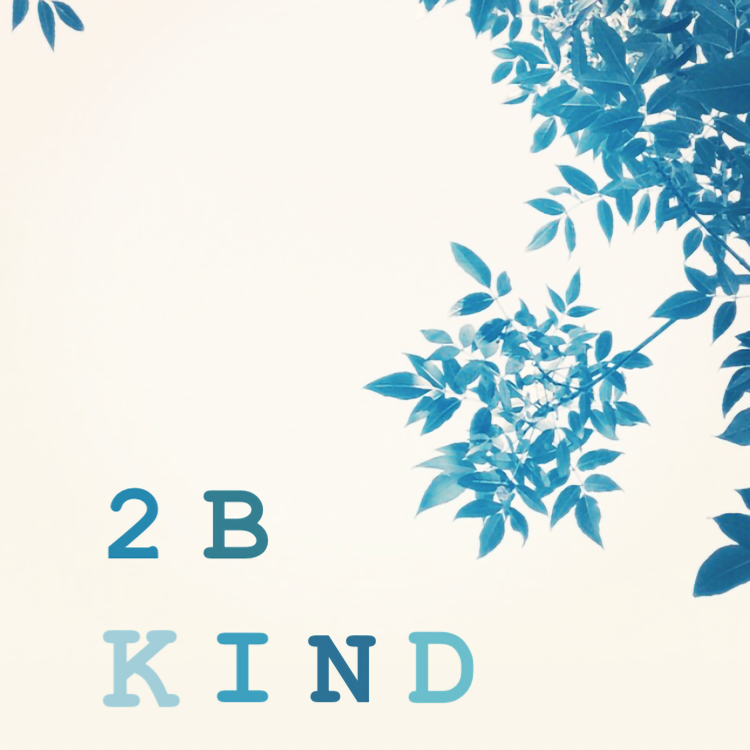 2BKind Podcast