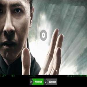 IP MAN 4: THE FINALE