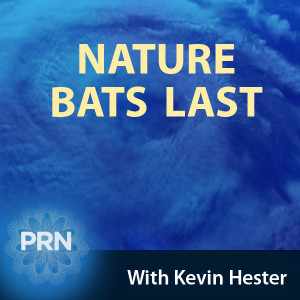 Nature Bats Last – 09.04.19