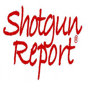 Pump Shotguns In Sporting