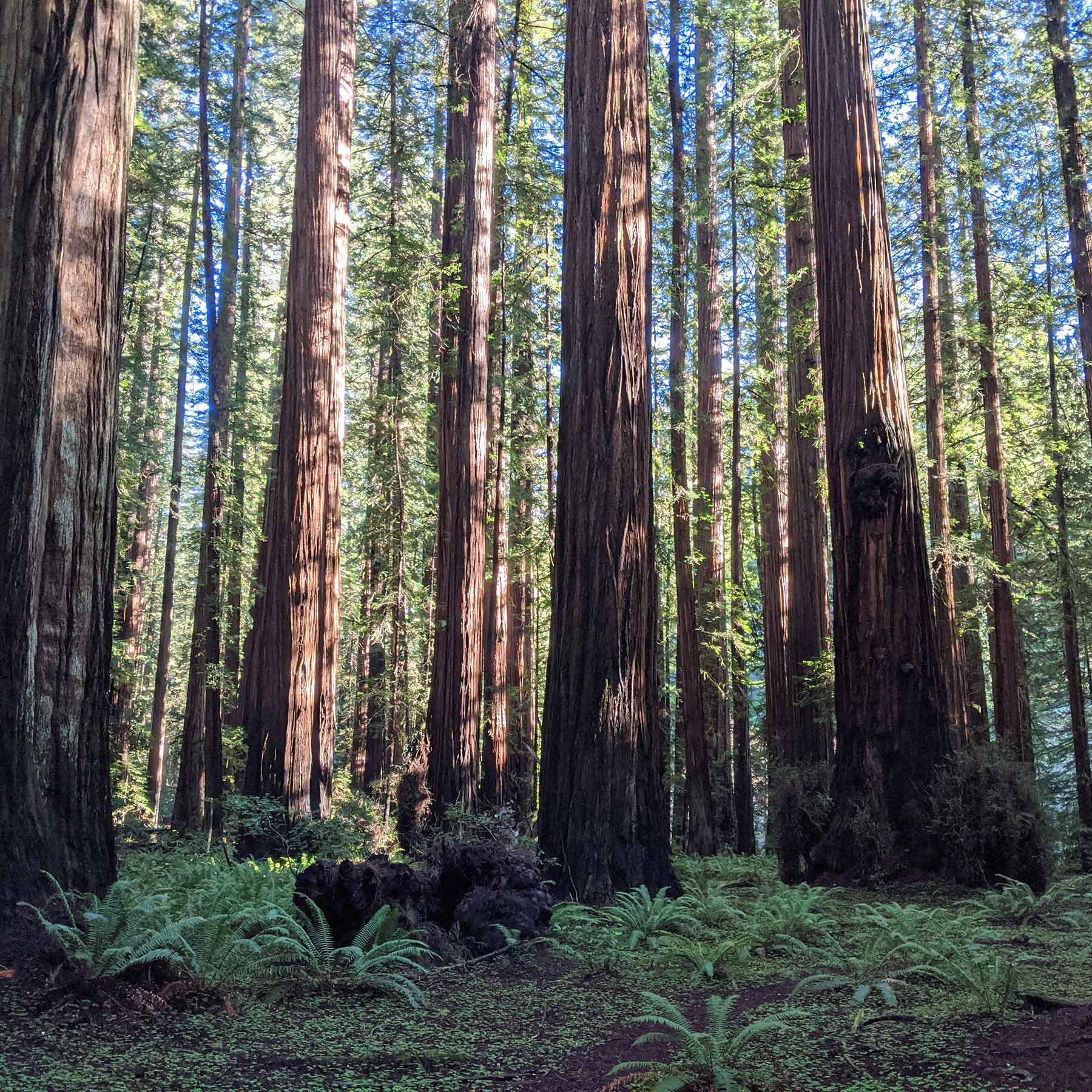 California Hiking