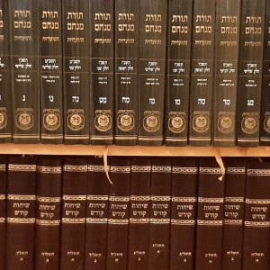 Translation of the Rebbe's sichos
