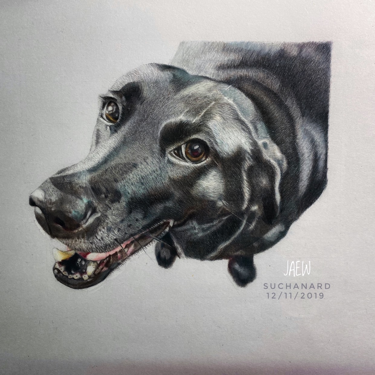 luna
